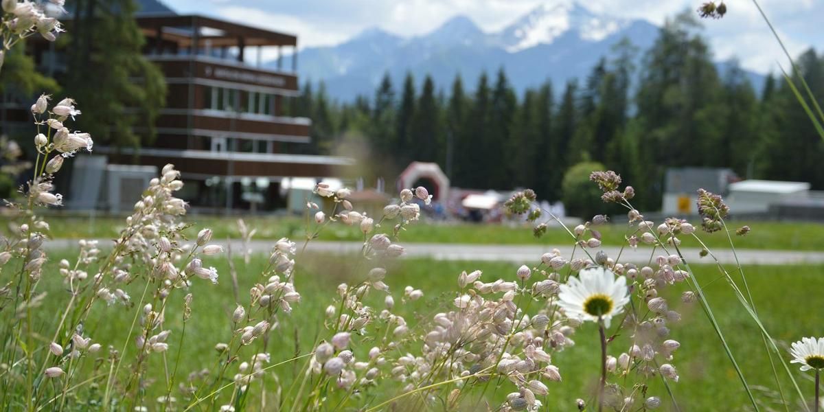 Roland Arena Nordic House Sommer