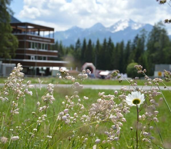 Roland Arena Nordic House Sommer